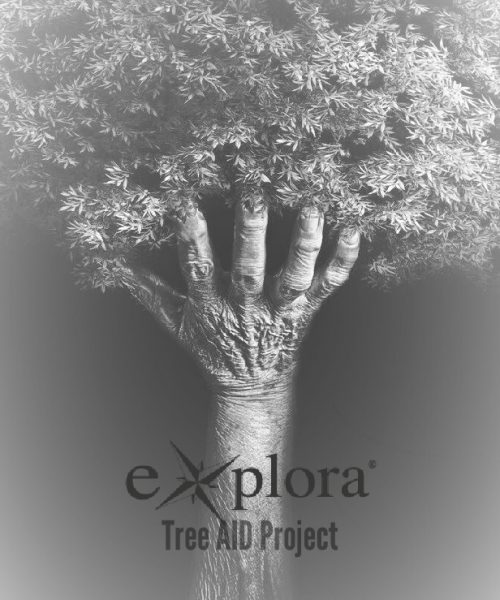 tree-AID-Project