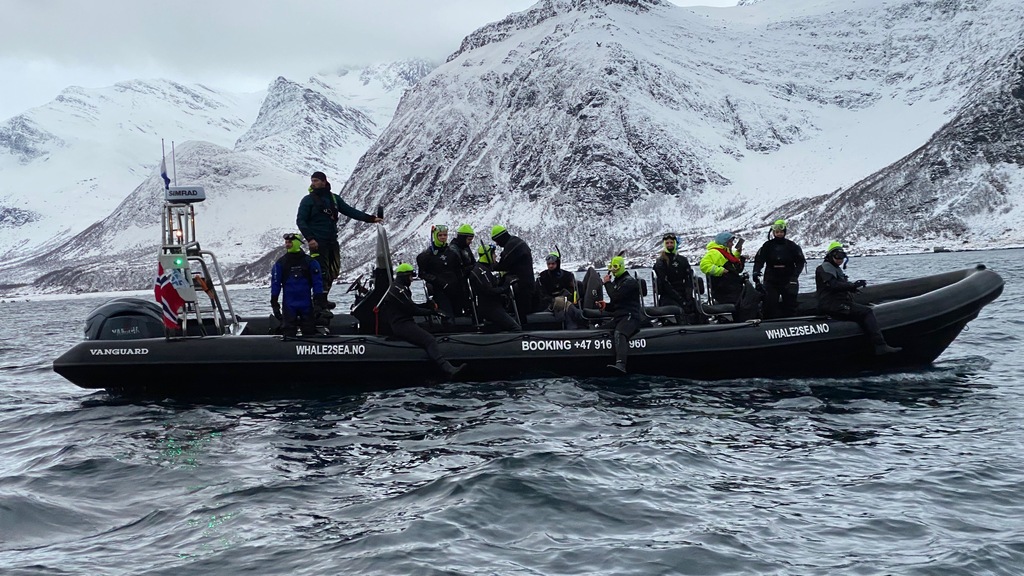 Gruppo di avventurieri preparati per nuotare con le orche nei fiordi norvegesi, circondati di fiordi innevate.