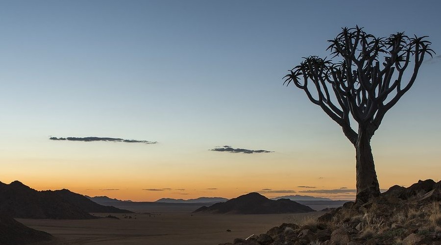 Deserto del Namib