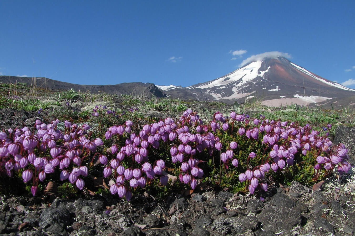 explora-expedition-discover-kamchatka