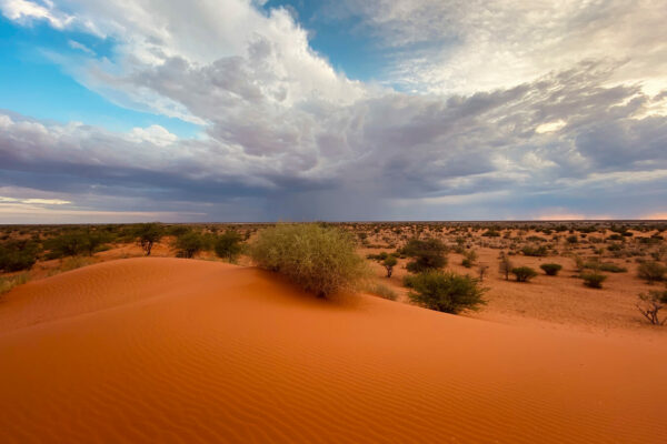 explora-expedition-discover-south-africa-namibia (2) explora-expedition-discover-south-africa-namibia (2)