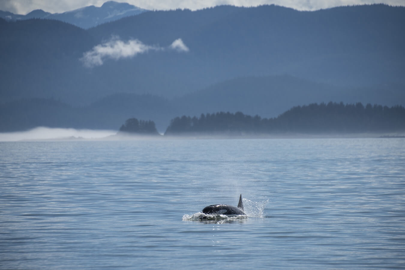 explora-expedition-gold-rush-trail-5