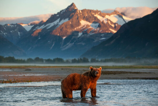 ALASKA