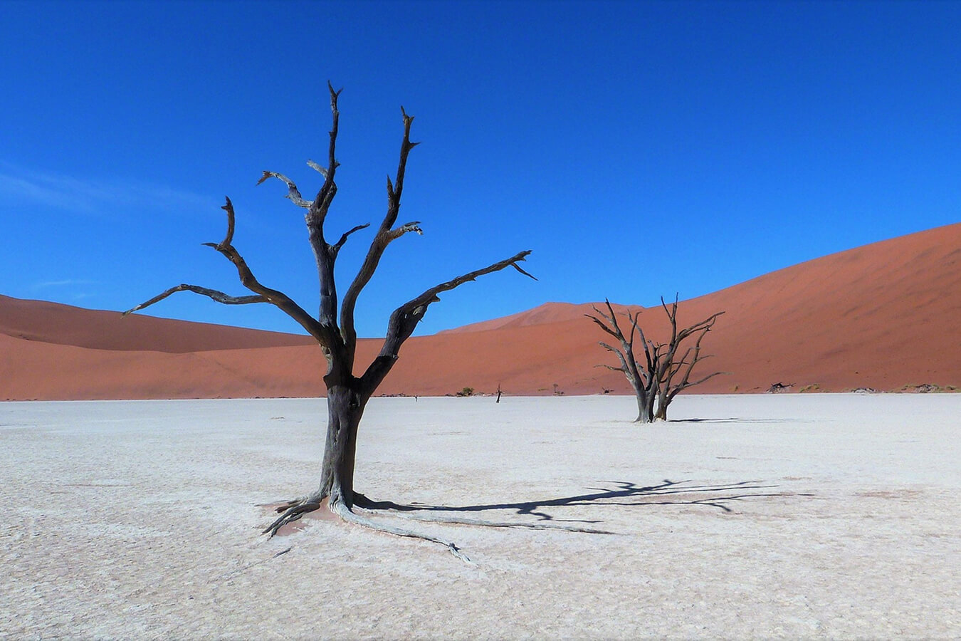 explora-expedition-namibia-3