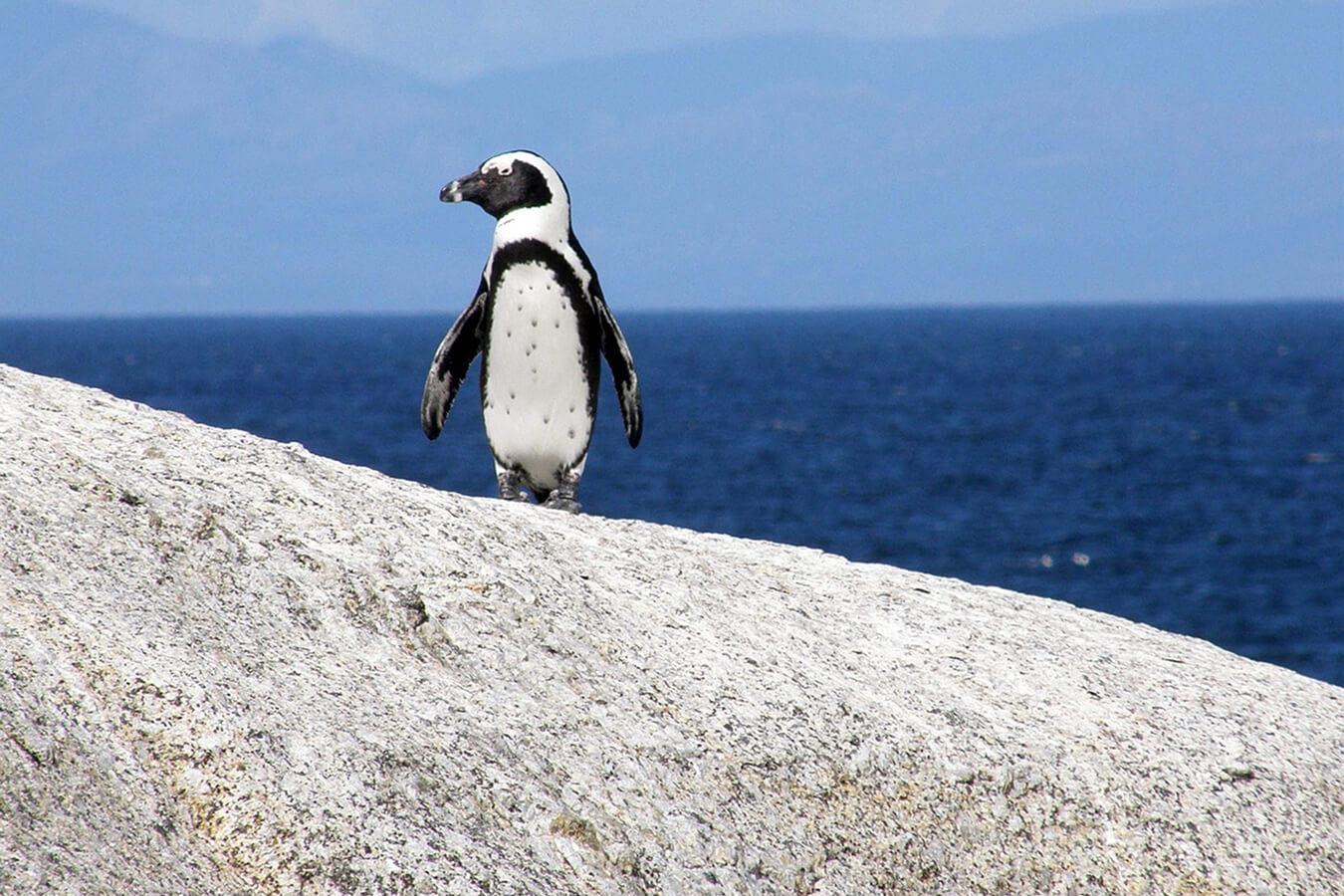 explora-expedition-sudafrica-bronze-1