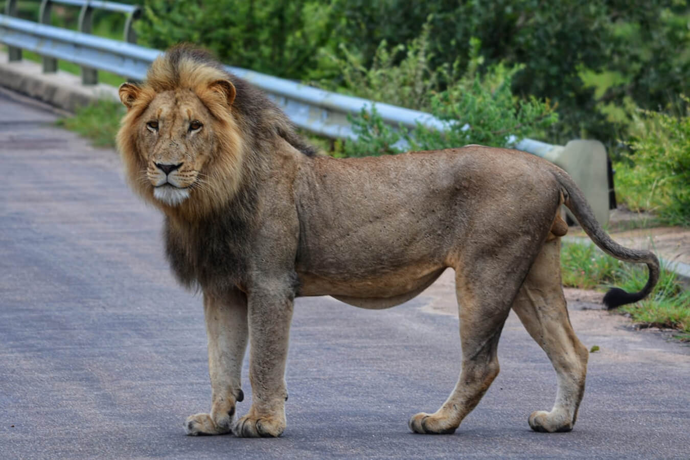 explora-expedition-sudafrica-silver-1