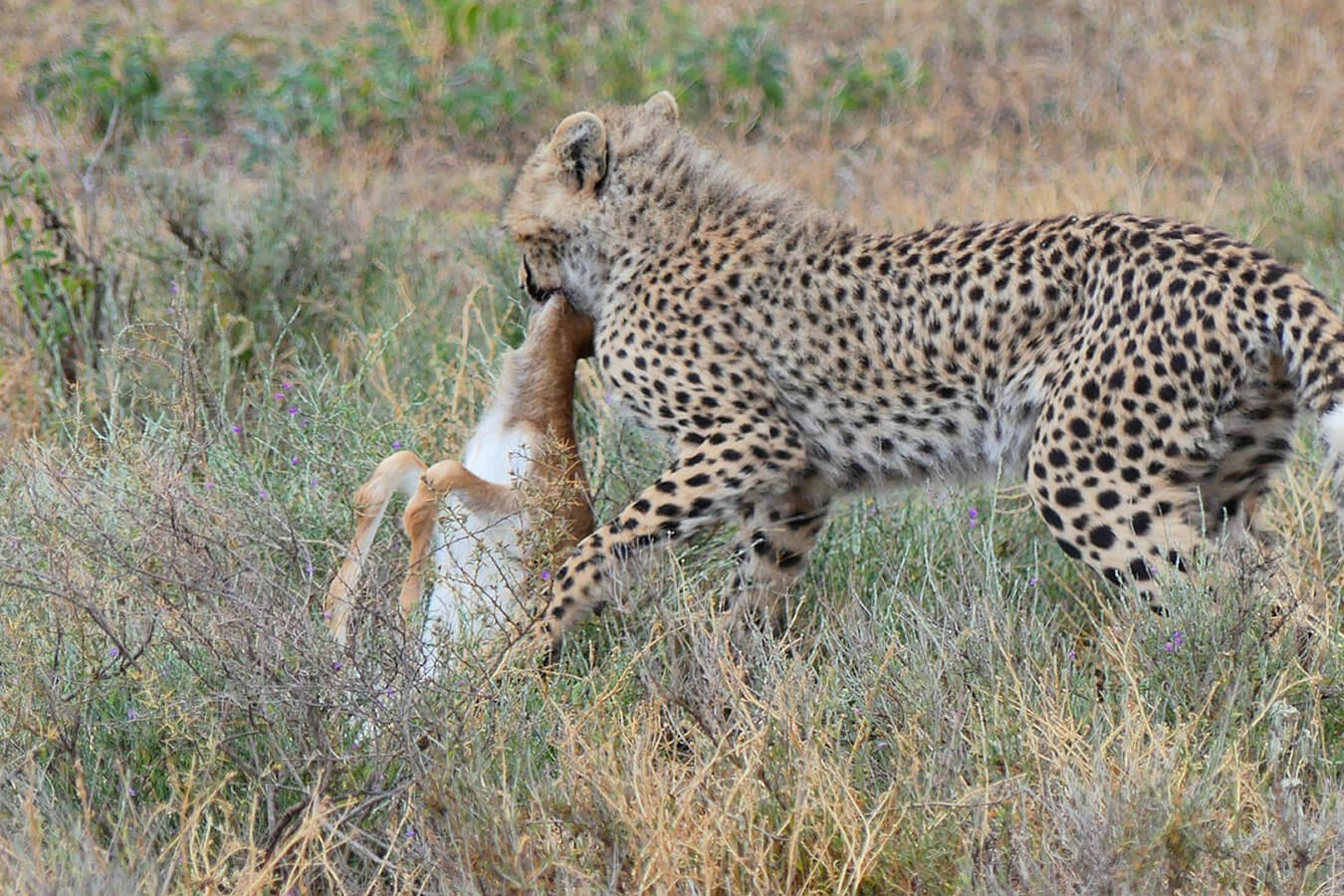 explora-expedition-tanzania-1