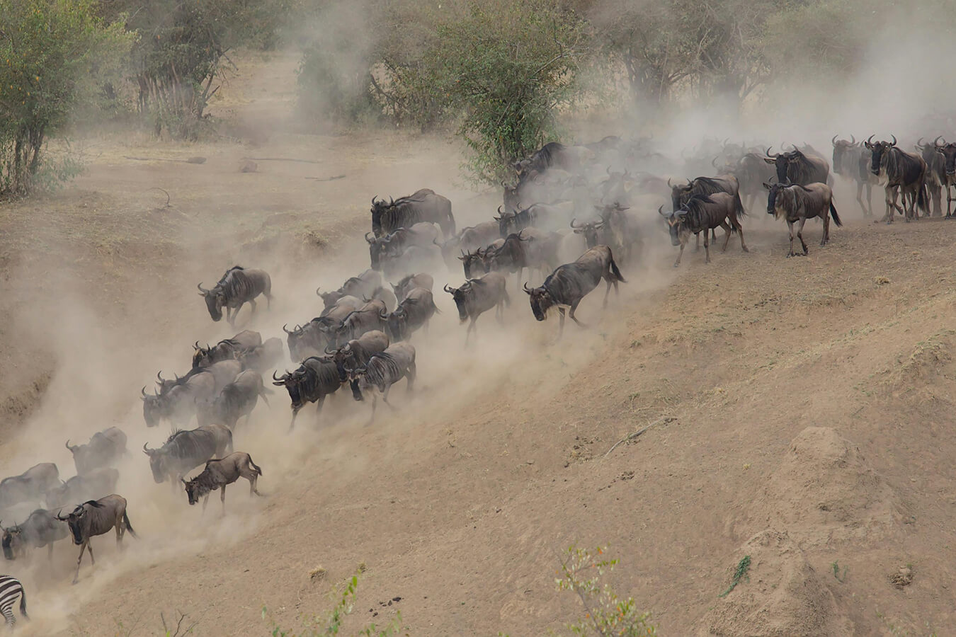 explora-expedition-tanzania-2