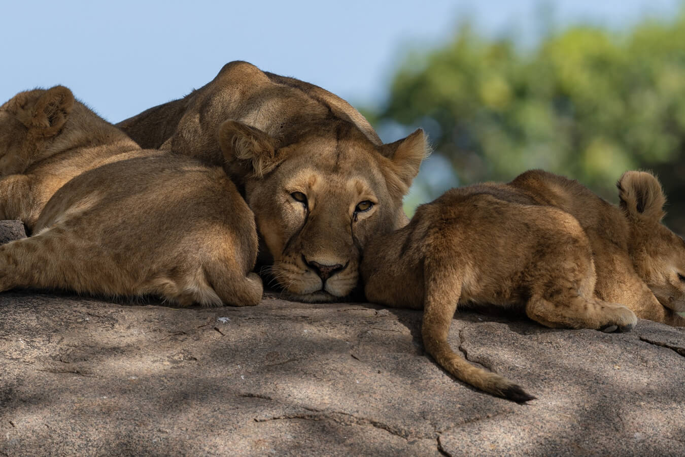 explora-expedition-tanzania-4