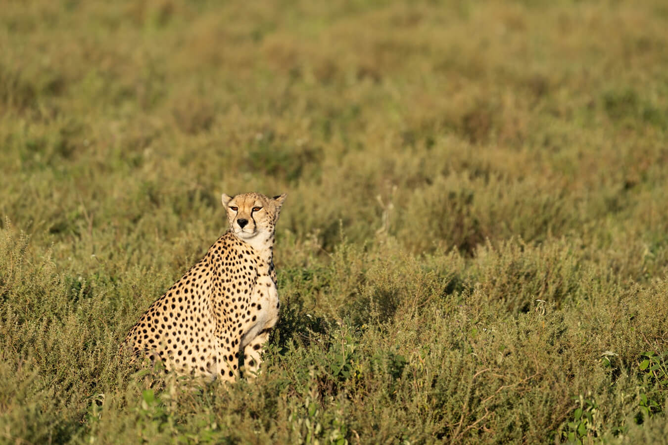 explora-expedition-tanzania-6