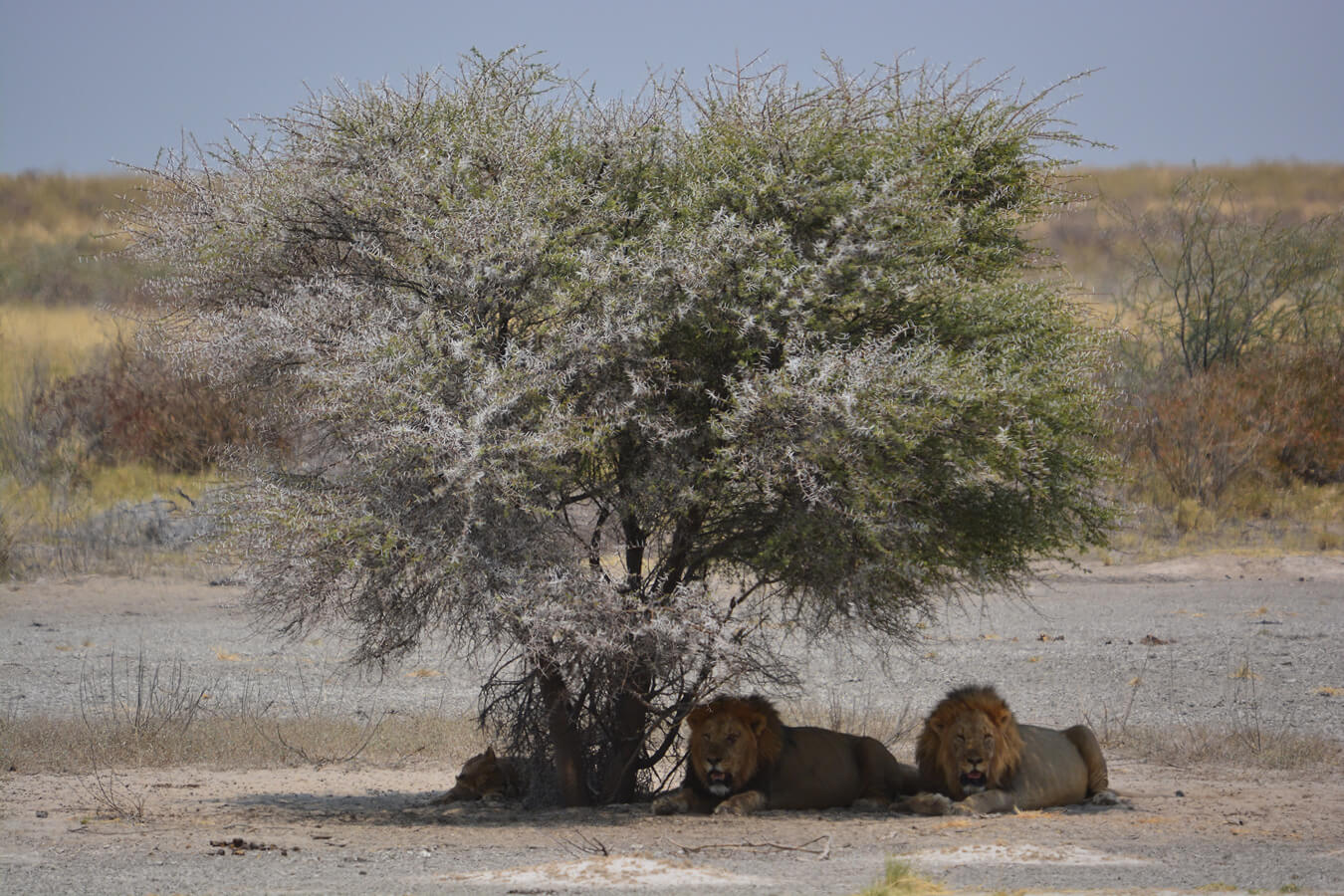 explora-expedition-transfrontaliero (5)