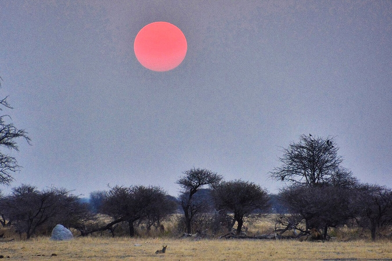 explora-expedition-transfrontaliero (7)