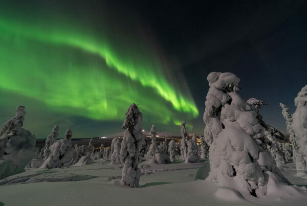 LAPPONIA FINLANDESE